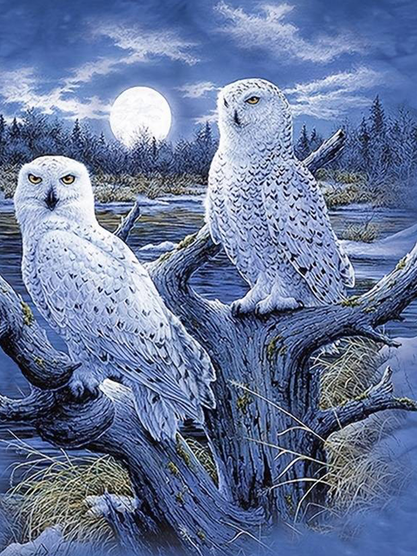 Picture of 5d full diamond diy animal landscape diamond painting foreign trade cross-border diamond embroidered full diamond rubik's cube round diamond craft decorative painting