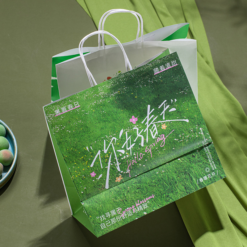 Qingtuan Biscuit Cookie Packaging Bag Zongzi Baked Pastry Portable Fashion Casual Fresh Gift Paper Bag Packaging