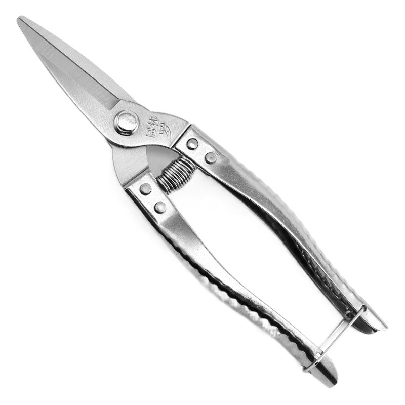 Hot sale stainless steel pruning shears gardening tree branch shears fruit tree fruit branch pruning shears garden tool shears wholesale
