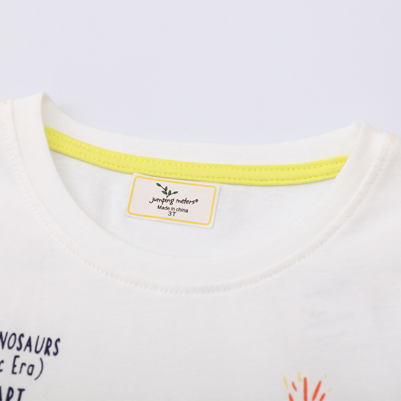 Picture of Summer children's t-shirt 2025 new fashion dinosaur pattern summer round neck short sleeve trendy top children's clothing wholesale
