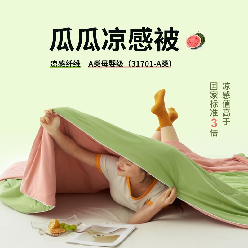 2025 New Solid Color Ab Version Summer Cool Silk Summer Quilt Air Conditioning Quilt Core Thin Quilt Washable Summer Cool Quilt Quilt Core