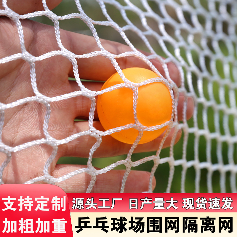 Table Tennis Net with Thickened Edges, Knotless, Suitable for Indoor and Outdoor Use, Durable Sports Isolation Net