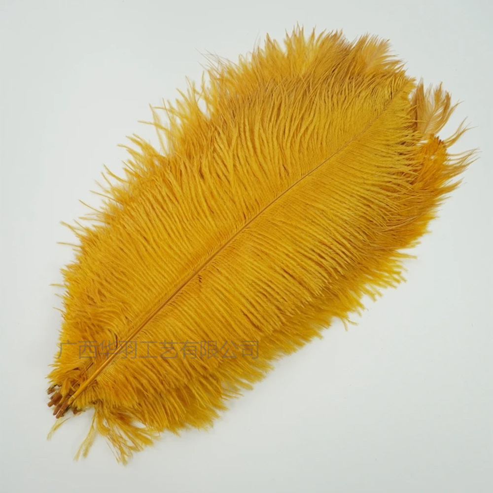 Picture of 40-45cm high quality thin rod ostrich feather source manufacturers wholesale wedding decoration feather DIY crafts stage clothes