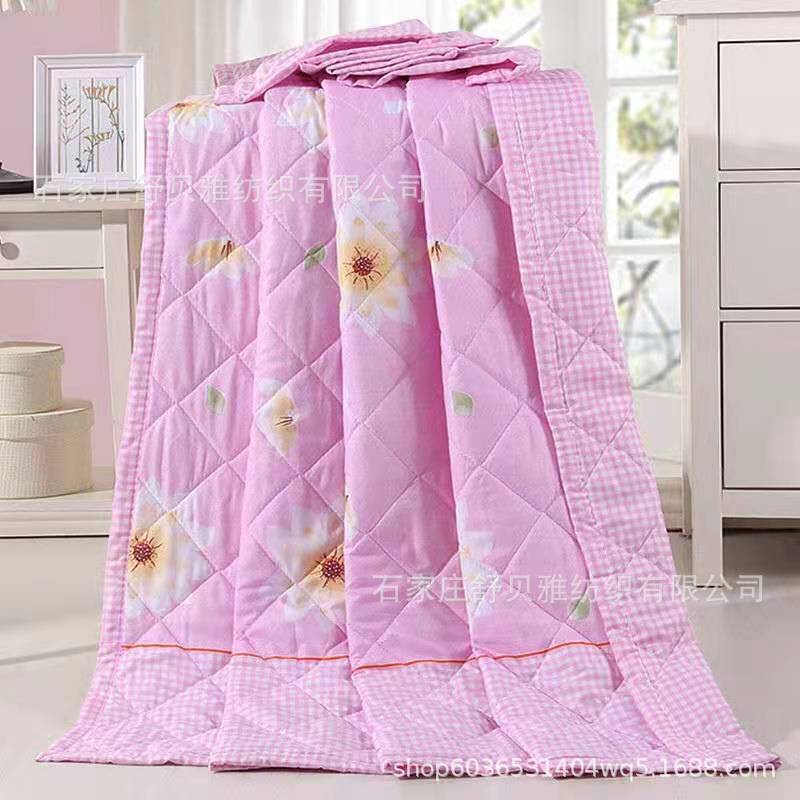 Picture of New Summer Cool Quilt Air-Conditioned Quilt Single and Double Thin Quilt Company Welfare Gift Quilt Spring & Fall Quilt Core Machine Washable