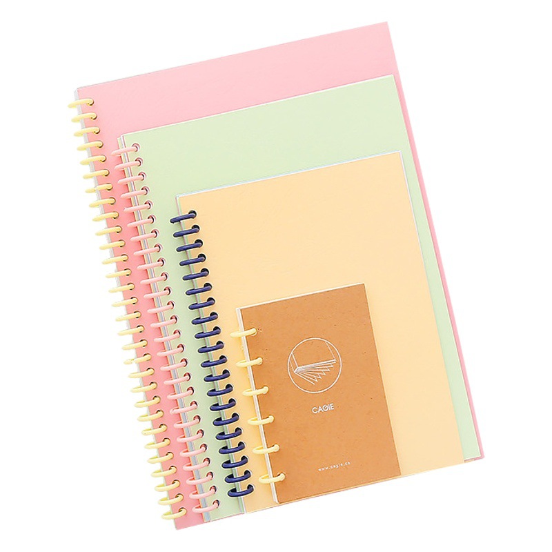 Picture of A4 Loose-Leaf Ring 30-Hole Loose-Leaf Buckle Loose-Leaf Ring Binding Ring Buckle Ring DIY Loose-Leaf Book Clip Buckle Plastic Ring