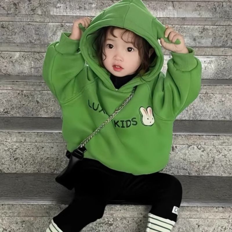Baby girl's autumn and winter 2023 fleece-lined sweater girls' Korean style western style warm hooded top children's sweater