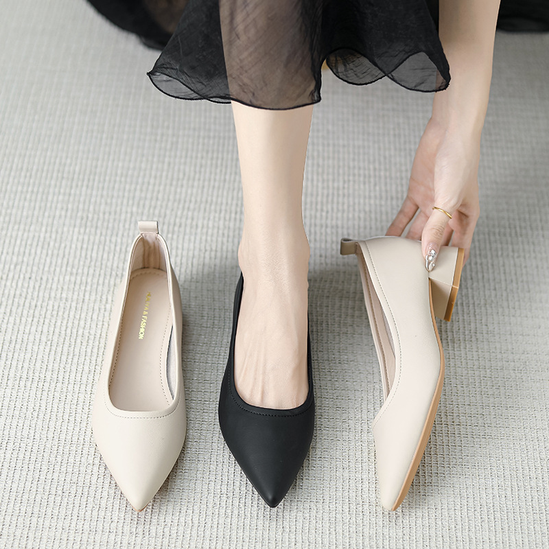 Huiliya French New Style Simple Pointed Slimming Thick Heeled Middle Heeled Single-layer Shoes Low Heeled Women's Shoes Y373