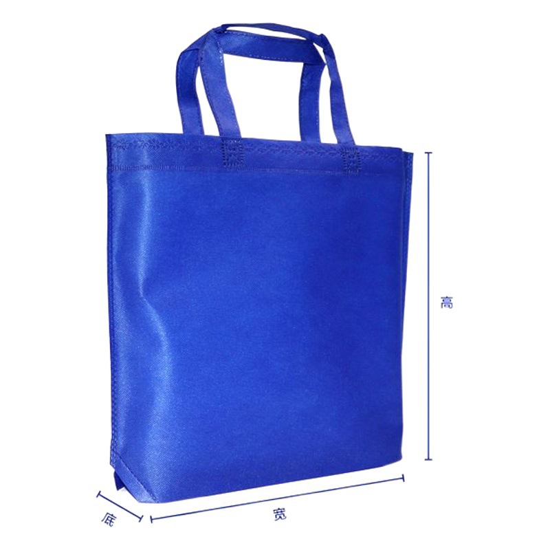 Clothing Women's Clothing Store Shopping Non-Woven Bevel Bag Gift Hand Bag Printing Promotional Logo Manufacturer Free Sample