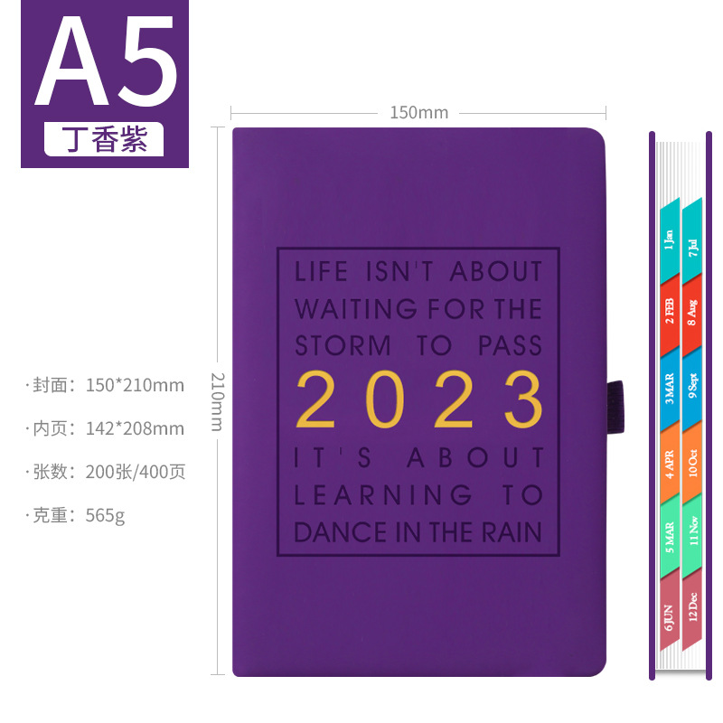 Picture of 2025 Schedule, 365-Day Daily Planner, One Page Per Day, Diary, Notepad, Time Management Notes
