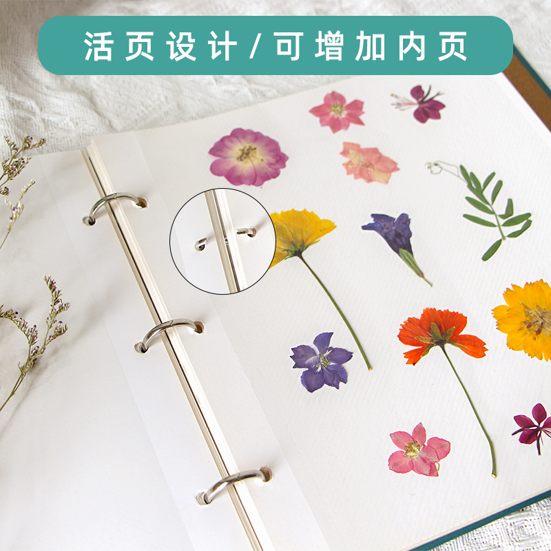 Plant specimen collection book leaves dried flower embossed storage book loose-leaf card book film diy album creative handmade