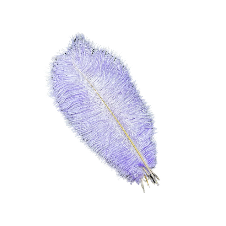 Picture of White ostrich feather 25-30cm natural ostrich feather dyed feather wedding decoration lamp ornament feather