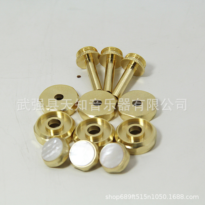 Gold-Plated Small Piston Key Button with Gold Upper and Lower Covers, Shell-Shaped Hexagonal Musical Note Knob for Instruments