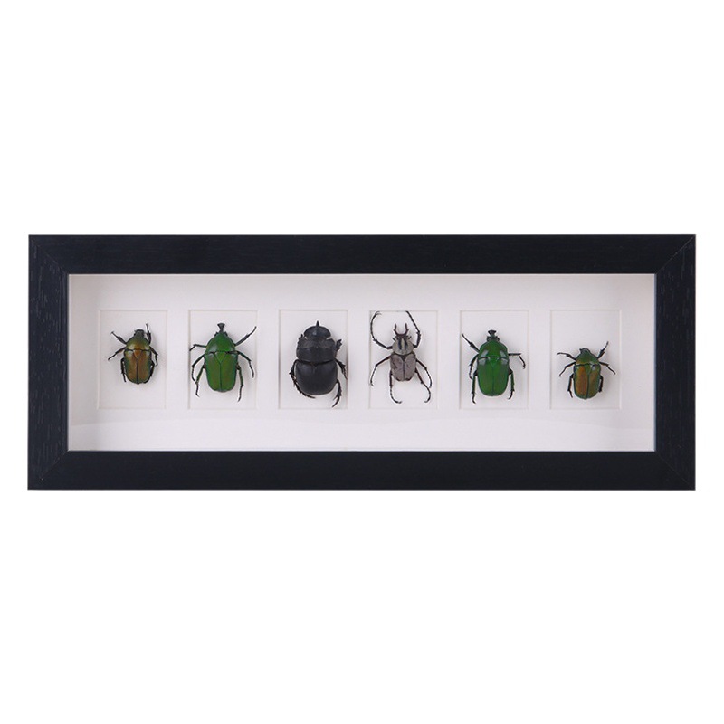 Insect Specimen Frame Stereo Hollow 2cm Multi-Grids Picture Frame Creative Handmade DIY Table Long Photo Frame Decoration