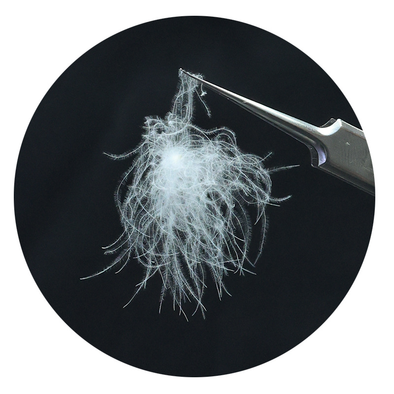Picture of National Standard Washed down 90 Pure White Duck down Guangjian 95 Large Feather Filling Raw Materials Bulk Wholesale Inspection Meets Standards