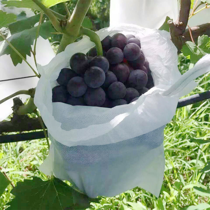 Picture of Non-Woven Fruit Bagging, Tying Wire, Grape Bag, Anti-Bird and Insect-Proof Water, Special Fruit Bag, Seedling Bagging, Spot Wholesale