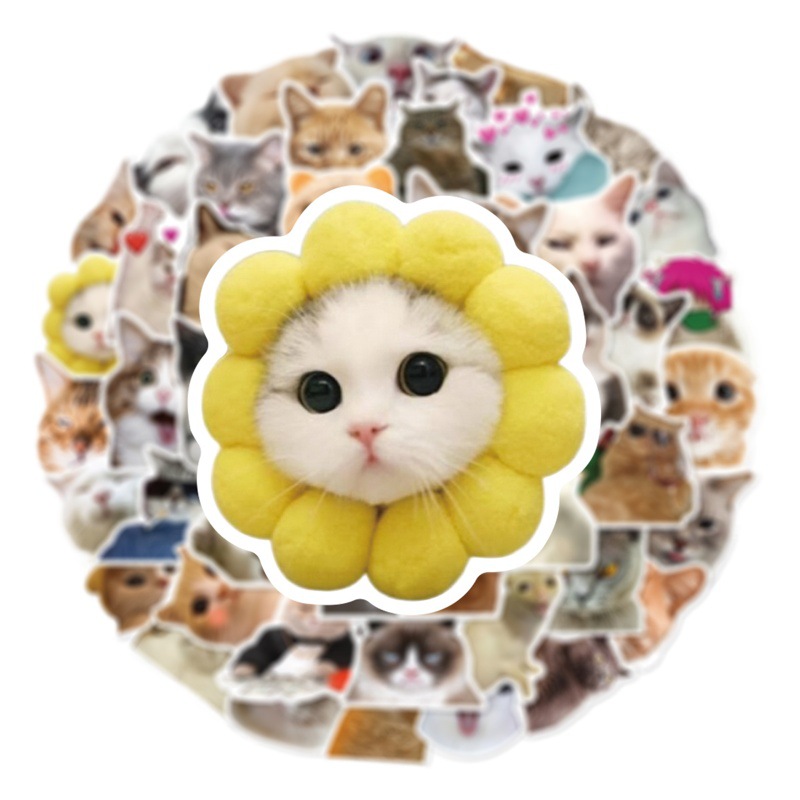 50 New funny cat expression meme stickers Computer mobile phone Shell Flat guitar cup waterproof stickers