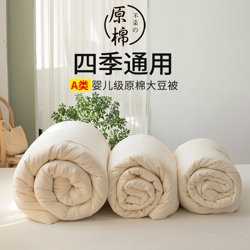 Japanese-style non-printing Class A raw cotton soybean quilt cotton good pure cotton hotel quilt core non-fluorescent winter quilt four-season quilt