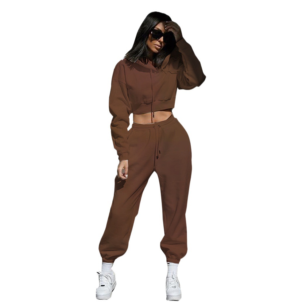 European and American plus velvet sweater suit women's wish2023 plus size hooded long sleeve women's sports and leisure two-piece set AliExpress