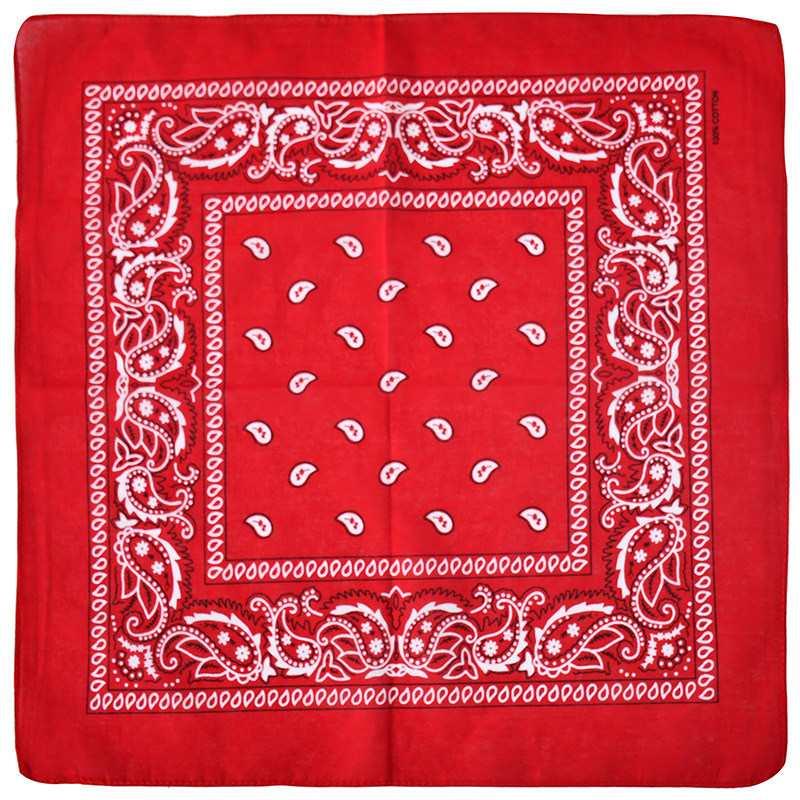 Picture of Factory Wholesale European and American Cashew Flower Square Scarf Outdoor Sports Cycling Hip-Hop Spot Pure Cotton Insect Printed Headscarf