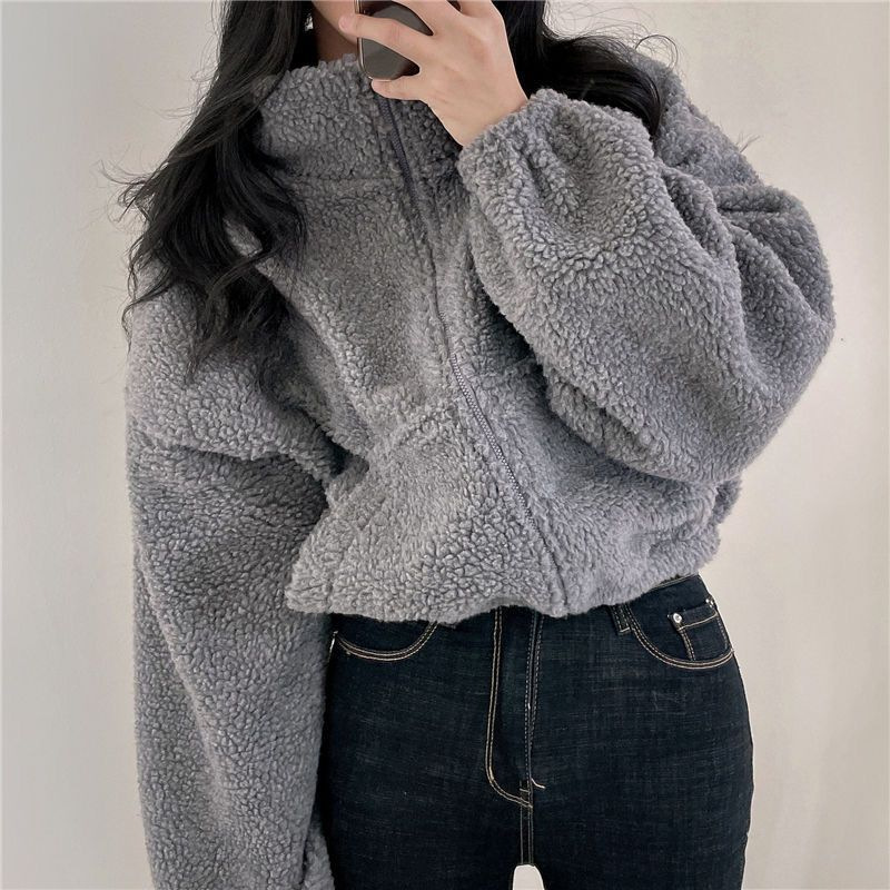 Picture of Korean Style Short Vertical Collar Warm Imitation Lamb Velvet Jacket Women's Autumn and Winter New Loose Zipper Cardigan Top
