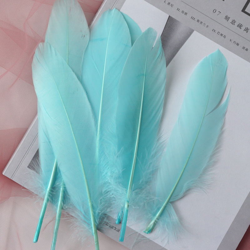 Picture of Feather color goose feather hard big floating dream catcher sunflower kindergarten handmade art class material wings decoration