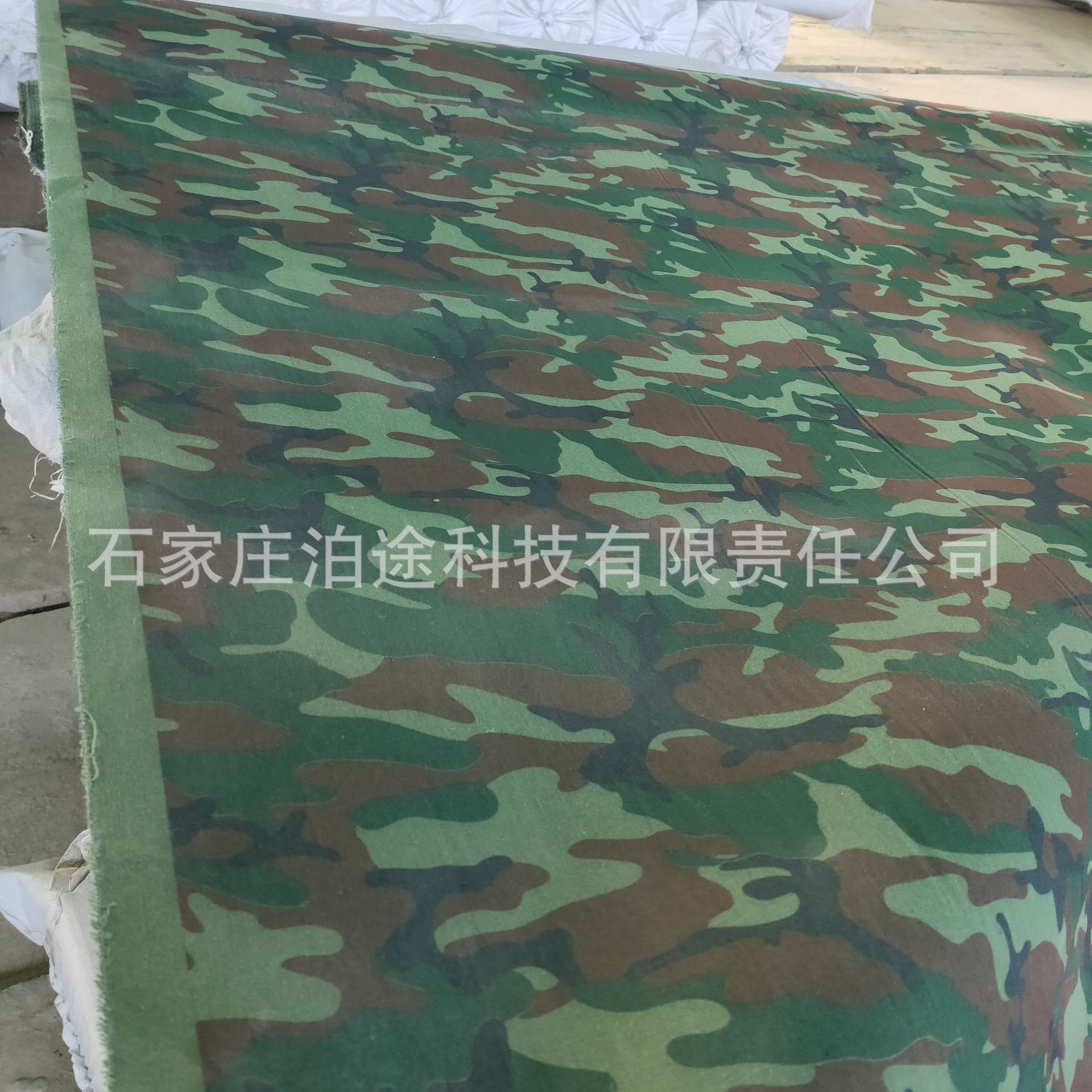 Digital Printing Canvas Factory Wholesale Outdoor Polyester Sunshade Sunscreen Canvas Encrypted Organic Waterproof Silicone Tent Cloth