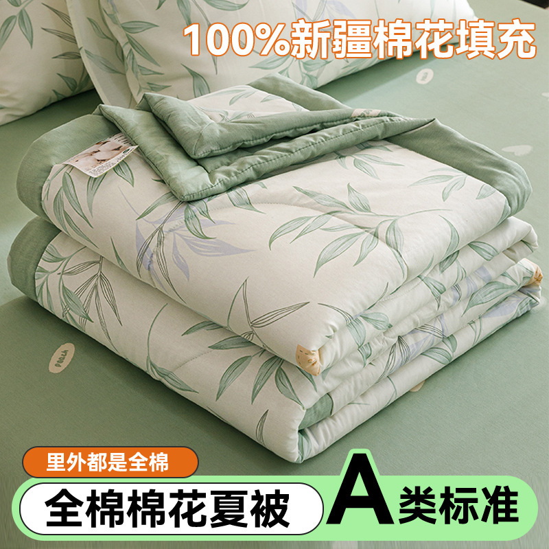 Picture of Class A cotton printed cotton summer quilt cotton washable air conditioner quilt Xinjiang cotton quilt core single double gift quilt
