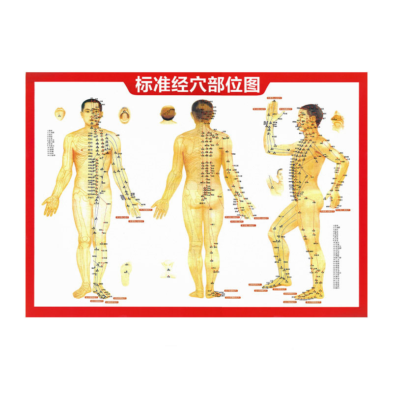 Picture of wormwood hammer health hammer wholesale custom hand massage beat meridian moxibustion hammer diy material package wormwood hammer