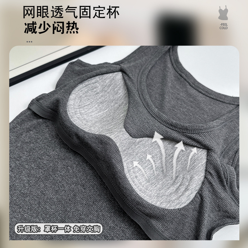 Picture of Warm Vest with Chest Pad and Velvet for Women, Brushed, Can Be Worn Outside, Close-Fitting Bottoming, Large Size Round Neck, Autumn and Winter Heating Vest