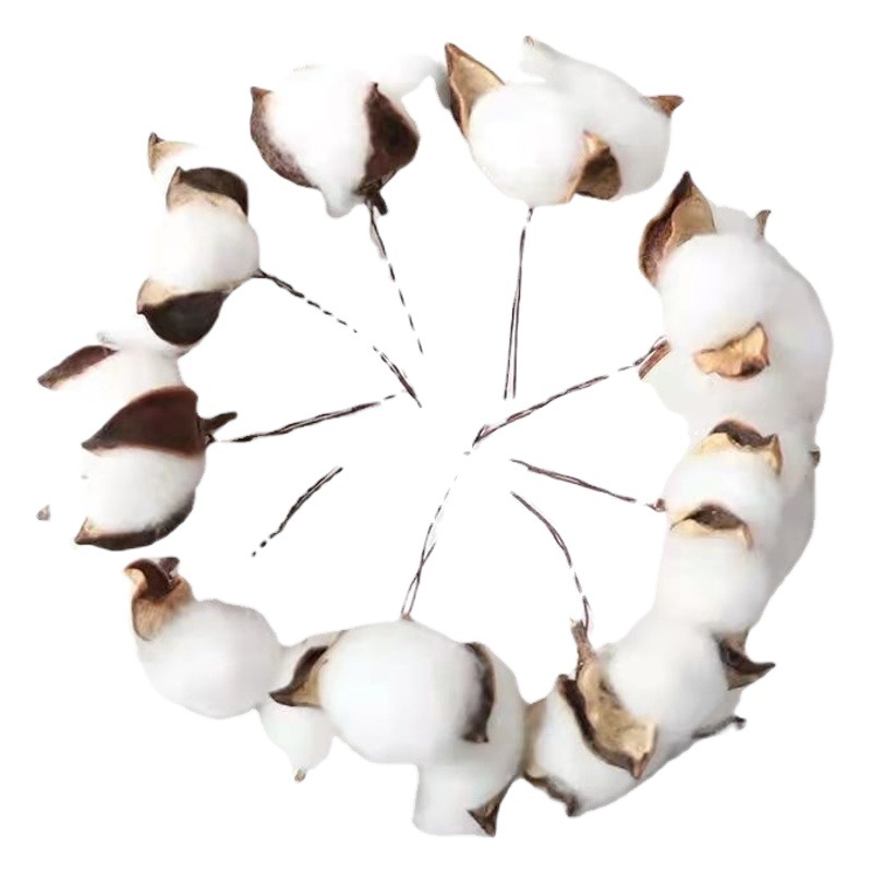 Natural Dried Flower Cotton Head DIY Accessories Tie Wire Cotton Flower-arranging Material Christmas Ornaments Eternal Flower Cotton