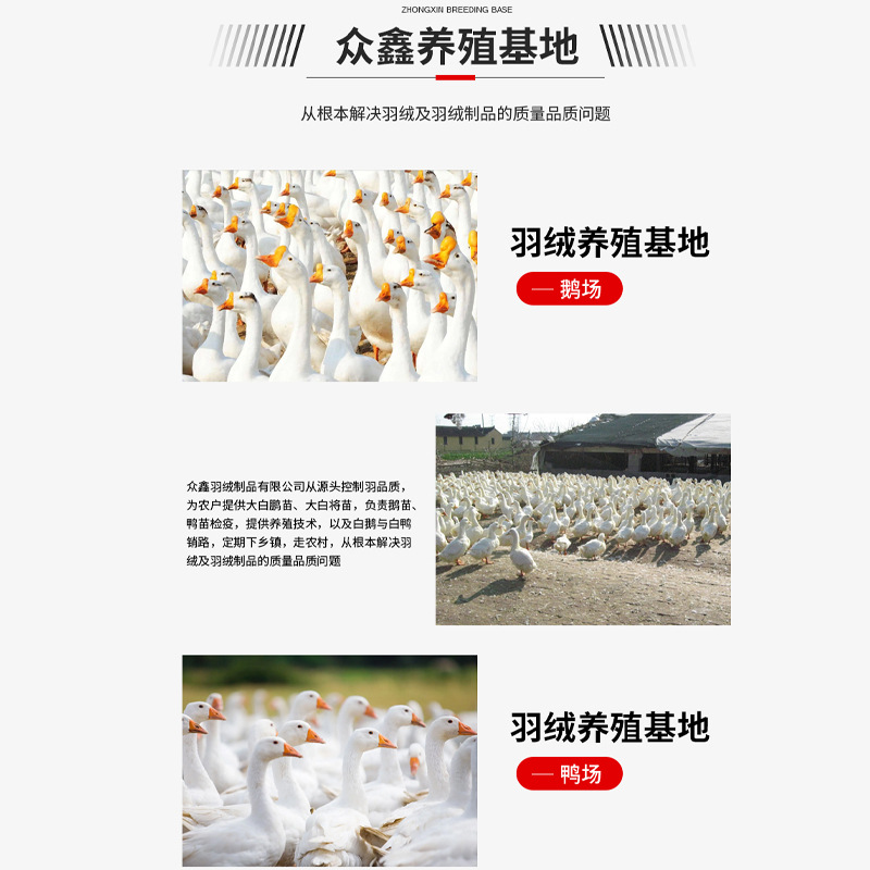 Picture of New national standard 90% plain white washed goose down jacket clothing filler feather white goose down sample no peculiar smell