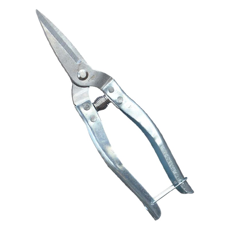 Stainless Steel Garden Branch Shears Garden Pruning Shears Orchard Thin Fruit Shears Fruit Picking Shears Fruit Picking Shears Multi-purpose Garden Shears