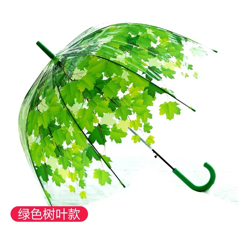 Picture of Korean Style Building Arched Apollo Princess Transparent Umbrella Umbrella Semi-automatic Creative Curved Hook Straight Long Handle Umbrella