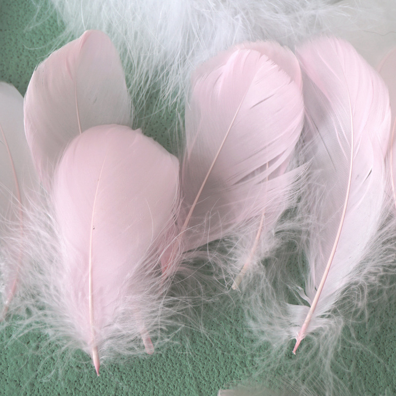 Picture of Color feather DIY floating dyeing goose feather dream catcher wave ball gift box filling decorative materials wholesale