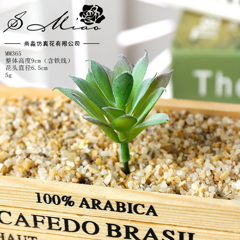 Picture of 003 Flocked Green Succulent Flower Head Creative DIY Supplies Bonsai Accessories Artificial Flower Jinhua Factory Direct Supply