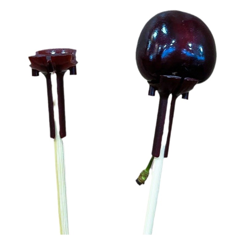 Floral supplies cherries fixed support 61 fruit bouquet diy material multi-functional children's day fixed bamboo sticks