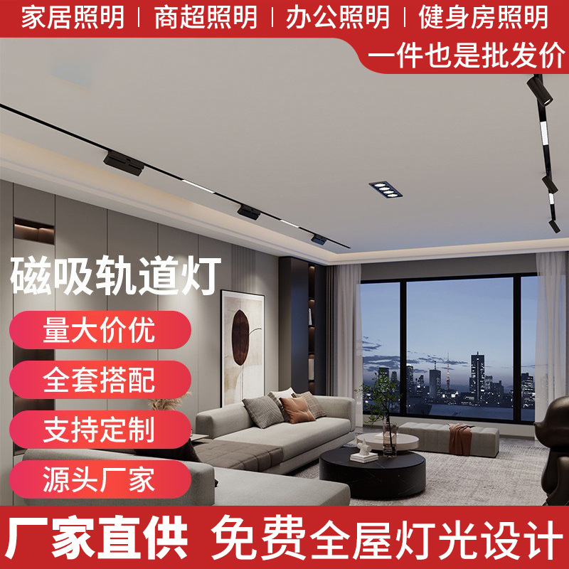 Magnetic Track Light Matchinging Package Home Living Room Light Exhibition Hall 48V Embedded Main Light-Free Lighting Zhongshan Lamps