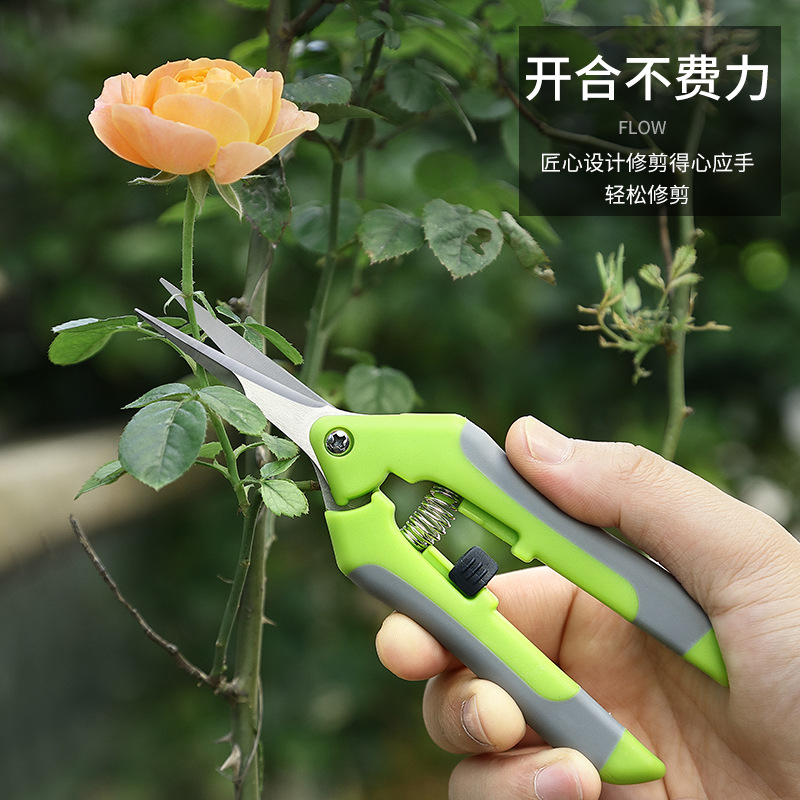 Picture of Gardening Scissors, Pruning Shears, Fruit and Vegetable Scissors, Branch Scissors, Fruit Tree Scissors, Grape Picking Scissors, Garden Tools, Fruit Picking Ready Stock