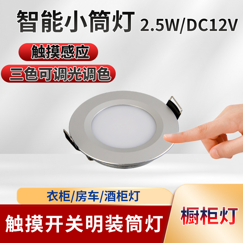 Wholesale Embedded Two-Color Temperature Small Downlight Dimmable Color Cabinet Light Wine Cabinet Smart Smart 12V Rv Light