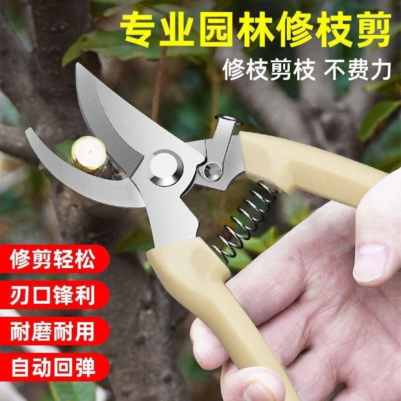 Gardening Shears, Fruit Tree Pruning Shears, Garden Shears, Branch Shears, Flower Pruning, Greening, Grafting, Garden Household Pruning Wholesale
