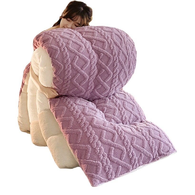 Taff velvet winter quilt lamb velvet arctic velvet core single double padded warm winter quilt factory wholesale generation
