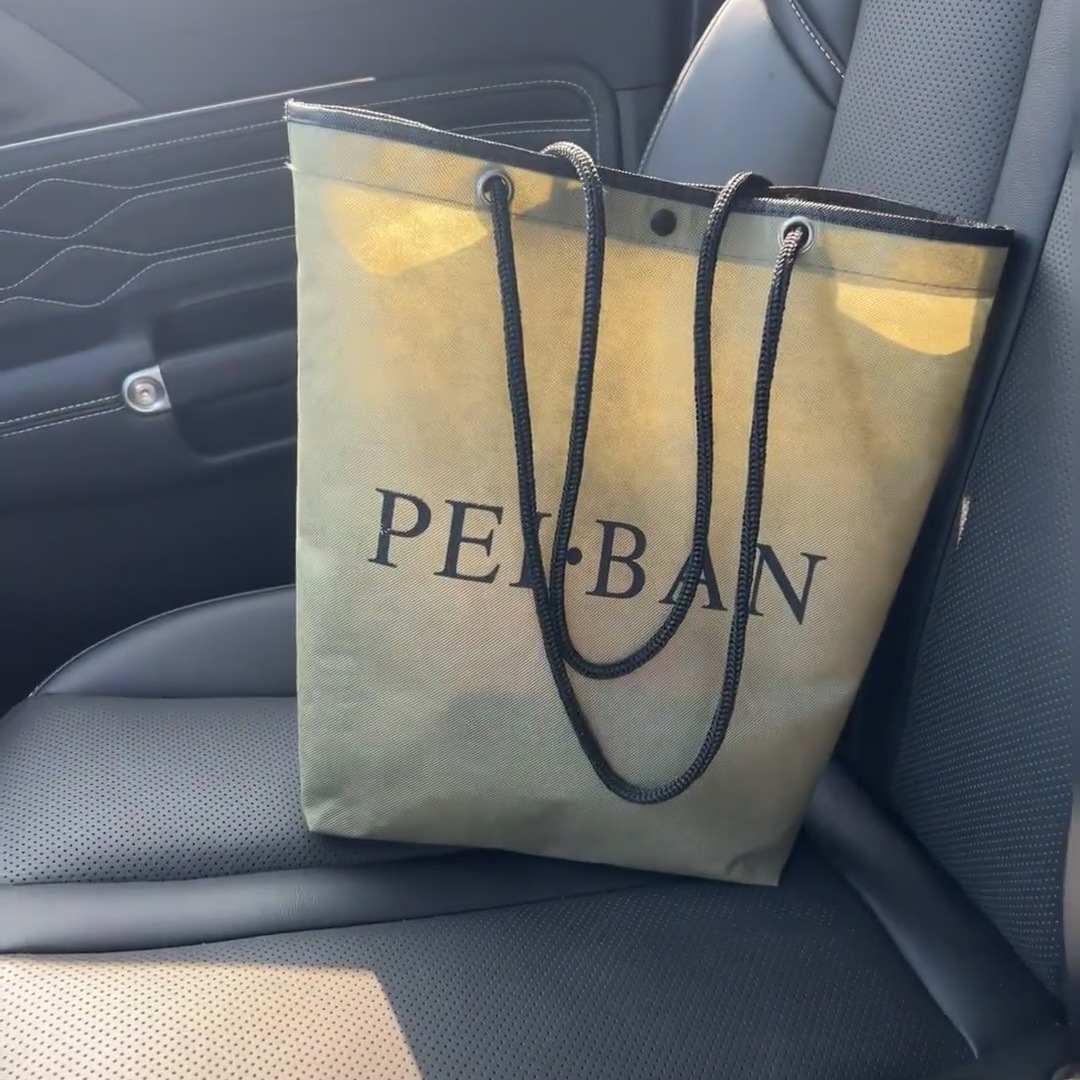 Non-Woven Handbag Custom Logo Shoe and Clothing Packaging Women's Clothing Store Large Environmentally Friendly Concealed Buckle Drawstring Shopping Bag