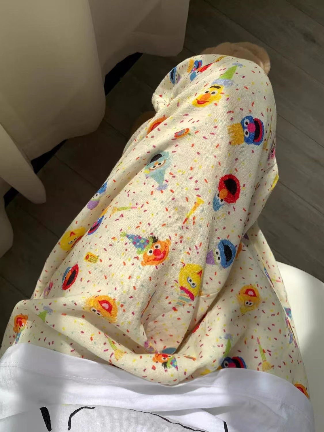 K-Style of Cute Sesame Street Print Pajamas for Women Summer 2024 New Home Casual Wide-Leg Pants Large Size Outer Wear