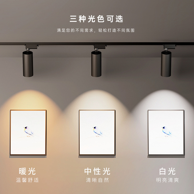 Picture of LED track lights 30W commercial lighting wholesale open-fitting hotel track spotlights COB spotlight clothing store track lights