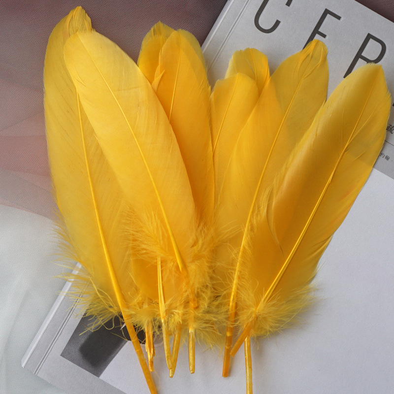 Picture of Feather color goose feather hard big floating dream catcher sunflower kindergarten handmade art class material wings decoration