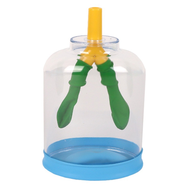 lung breathing simulator diaphragm movement model human lung gas exchange junior high school physics experiment equipment teaching aids
