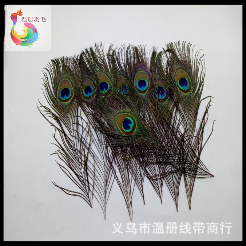 Picture of Feather Manufacturer Now Selling 30cm Peacock Feathers for Natural Flower Arrangement, Decorative Earrings, Necklaces, Dreamcatchers, and Performance Props
