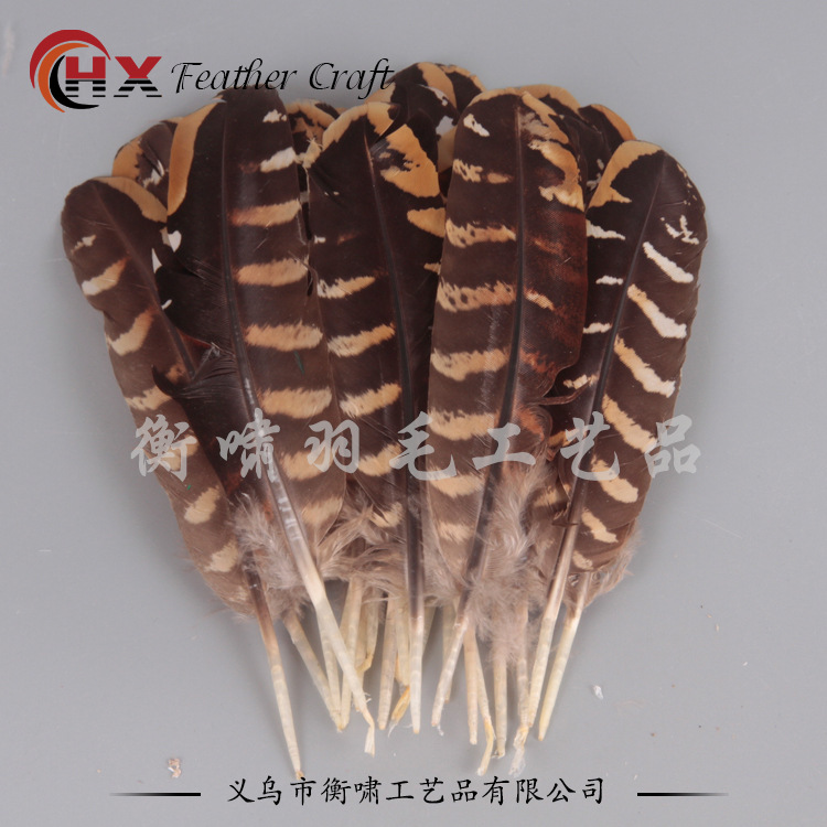 Ready Stock Natural Feather Chicken Coop Feathers DIY Jewelry Accessories Feather Hat Clothing Materials Wild Chicken Feathers