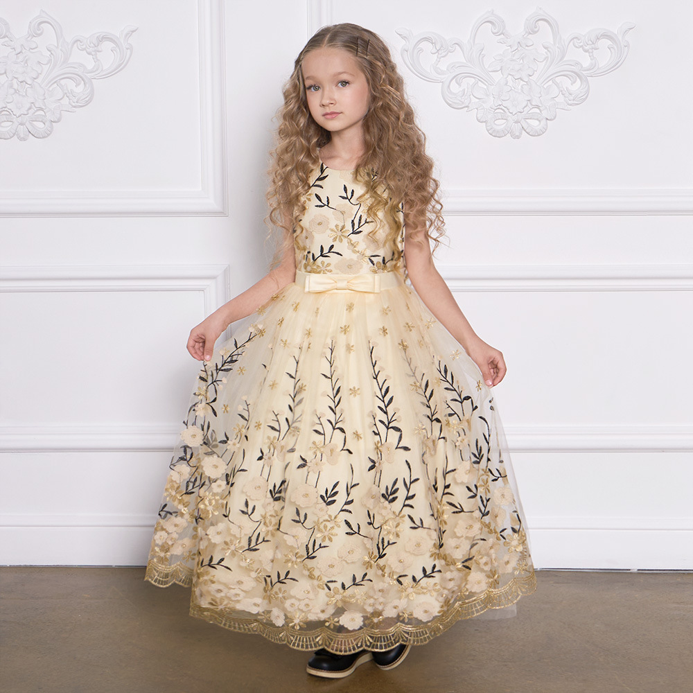 Amazon New Girls' Dress Long Princess Dress Piano Host Dress Embroidered Mesh Dress