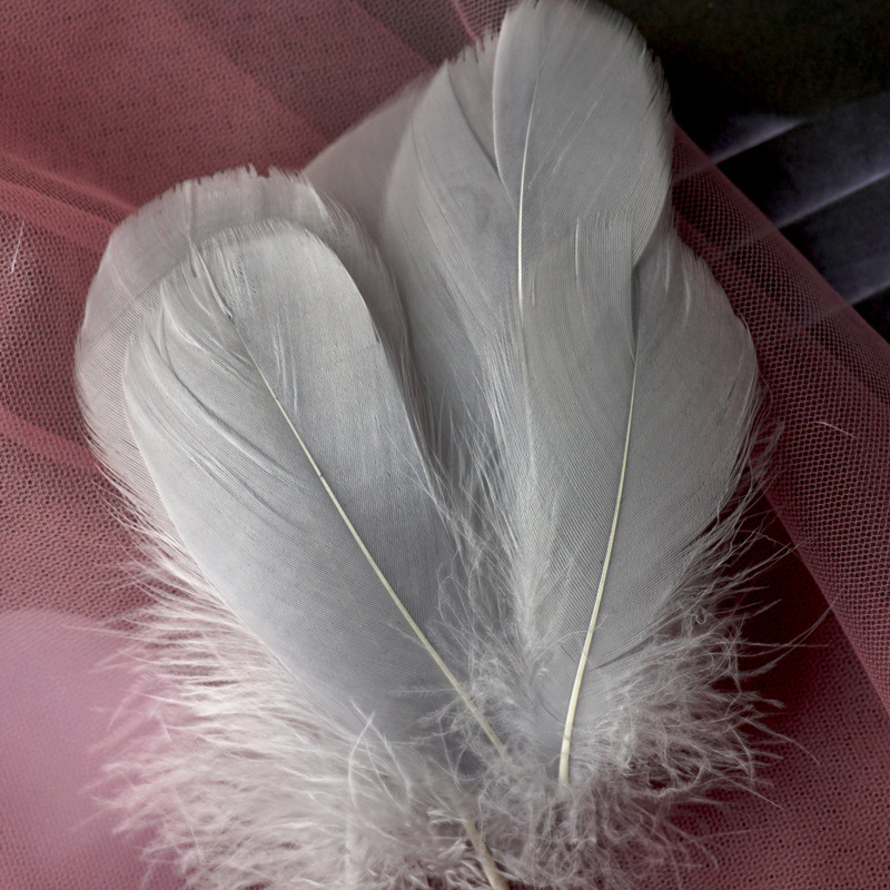 Picture of Color feather DIY floating dyeing goose feather dream catcher wave ball gift box filling decorative materials wholesale